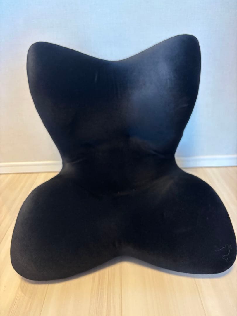 Style PREMIUM DX スタイルプレミアム デラックス Style PREMIUM DX | スタイルプレミアムデラックス - SHOP STYLECAST