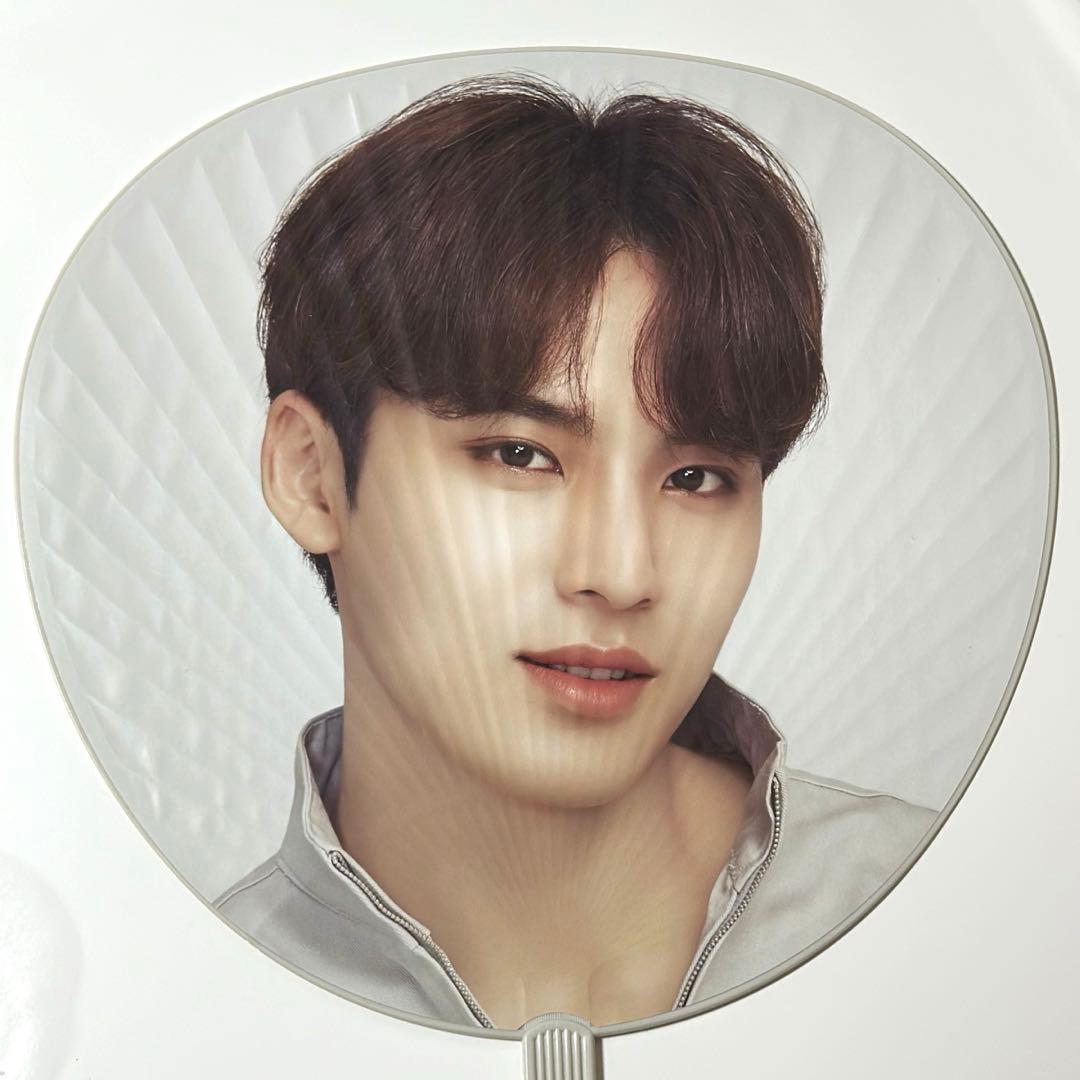 SEVENTEEN ミンギュ うちわ Ode to You - メルカリ