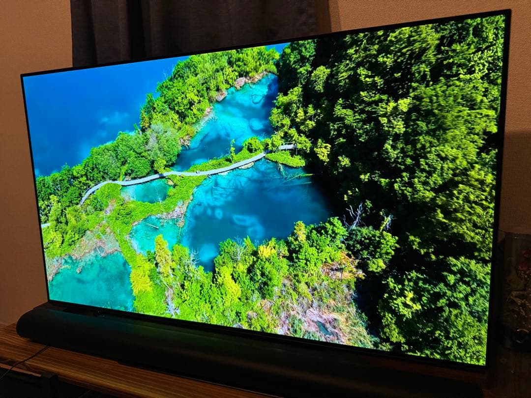 【2018年製】55型有機ELテレビ/Panasonic/TH-55FZ950 VIERA パナソニック 有機ELテレビ TH-55FZ950 55型 ビエラ 55インチ