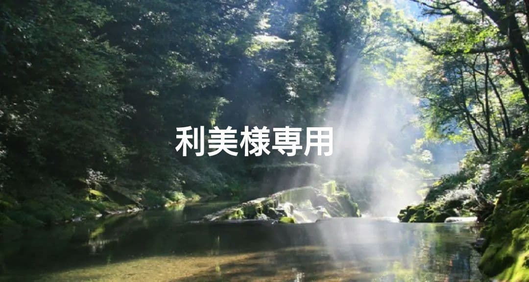 利美さま専用　特典付✨電磁波防止✨本物CMCペンダント USA版 強力 楽天市場】【ふるさと納税】 No.107 【B】 CMCbioペンダント2本セット