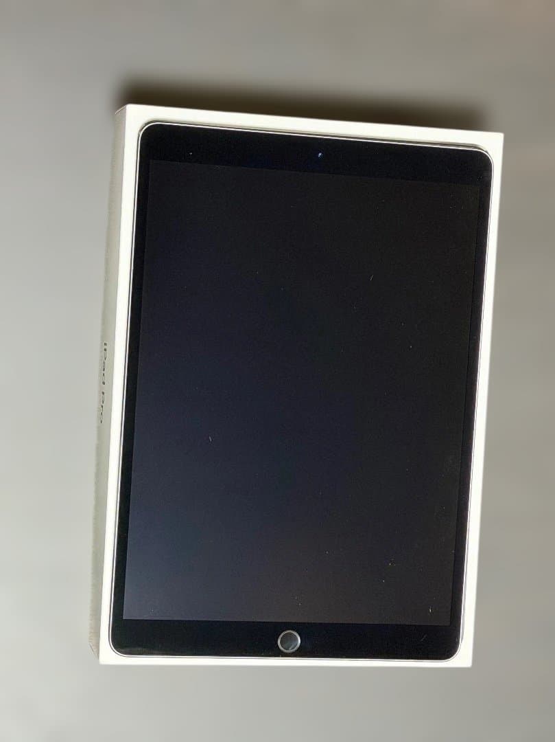 Apple iPad Pro 10.5インチ 256GB WIFI 本体 - メルカリ