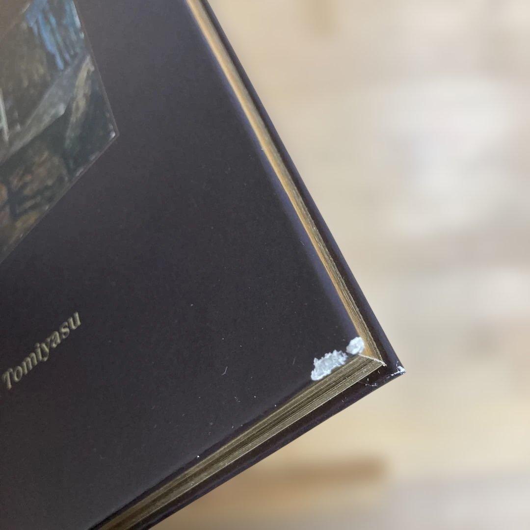 冨安由真展 漂泊する幻影 図録 サイン入り