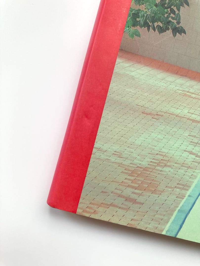 Maria Svarbova 「 Swimming Pool 」東欧プール写真集 - メルカリ