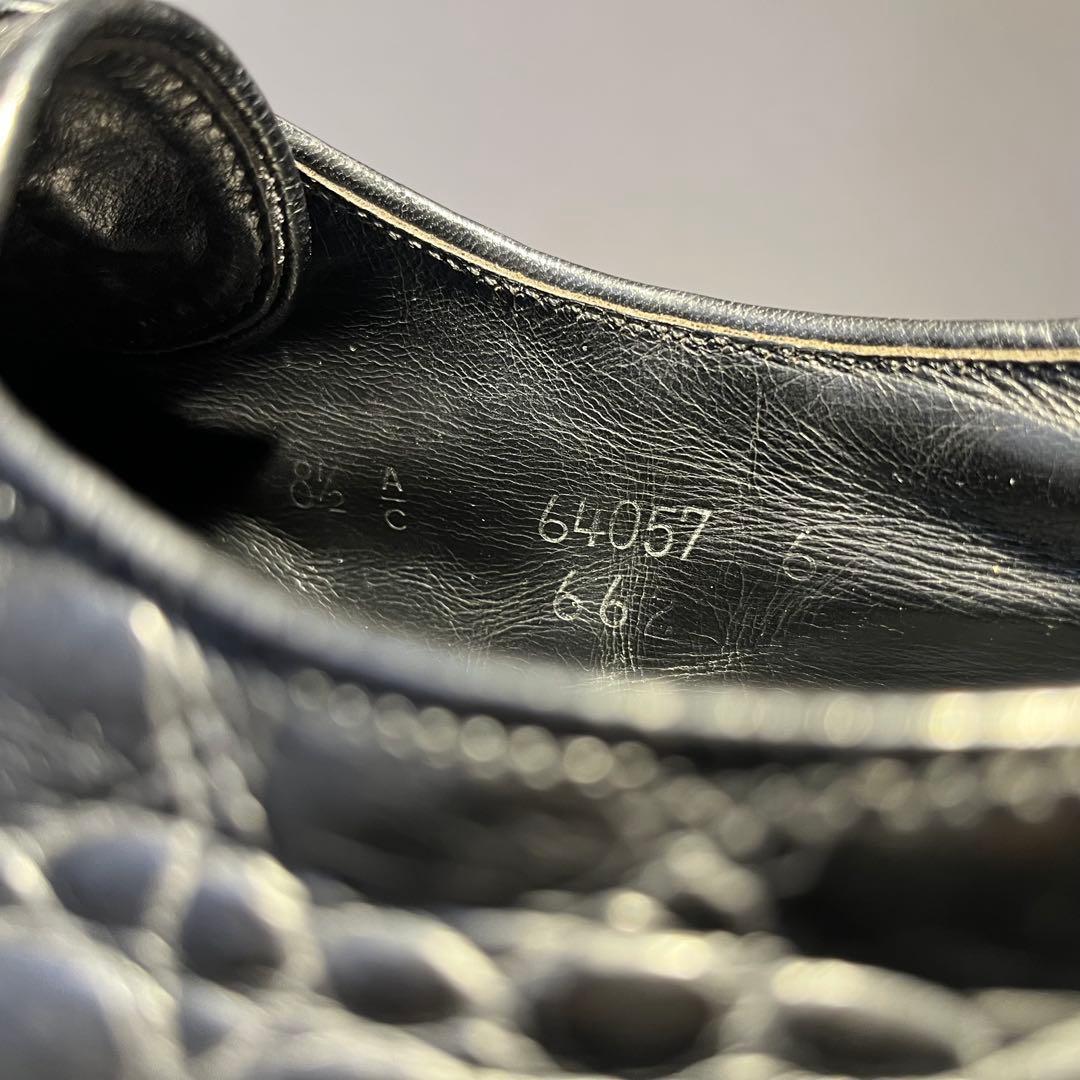 50s Edwin Clapp Alligater Algonquin - メルカリ