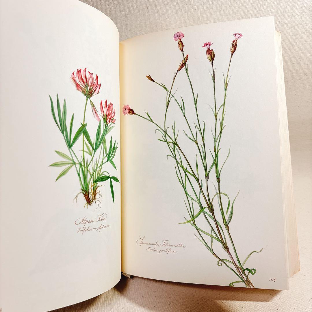 美しい植物画 Elsa Felsko 植物図鑑2冊 Blumen 洋書 すずらん - メルカリ