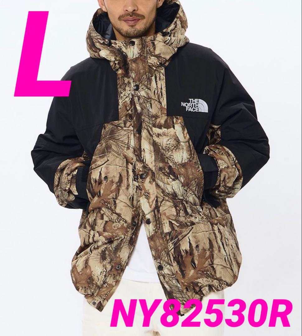 THE NORTH FACE マウンテン インサレーション ジャケット定価以下