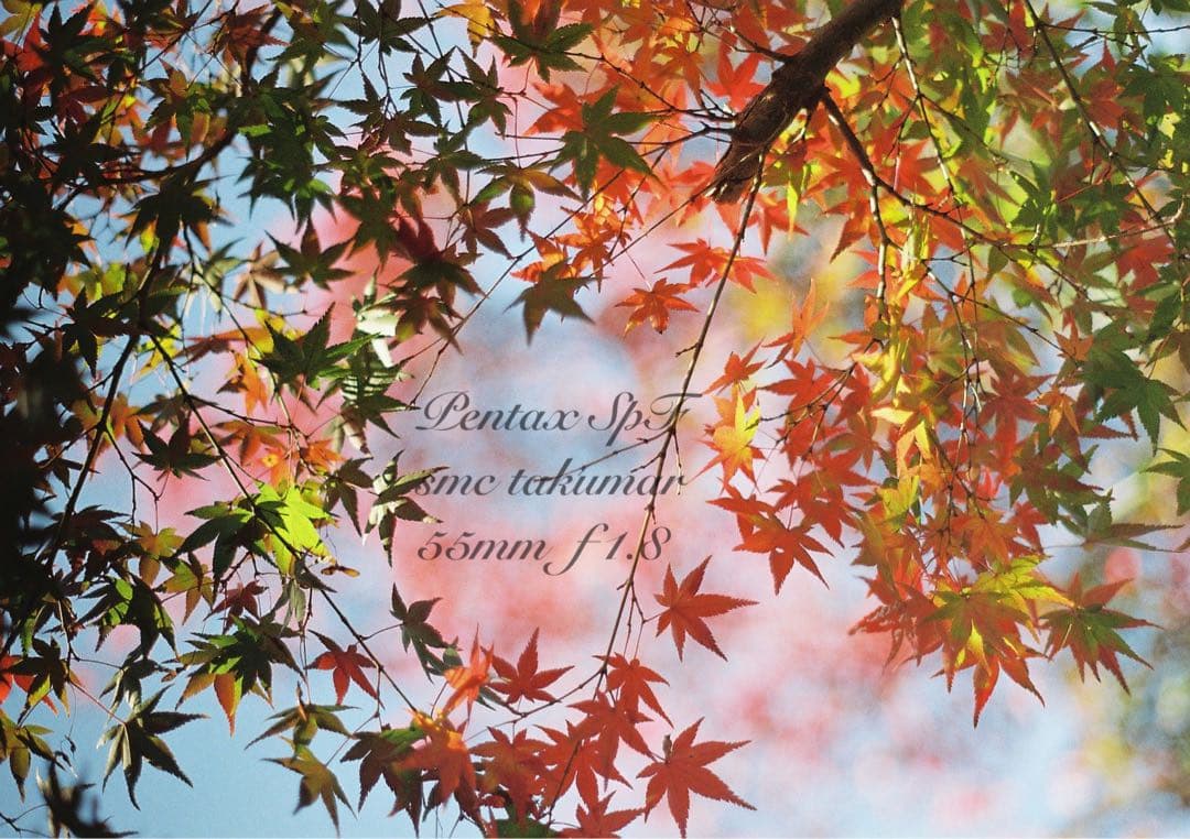 pentax spf/smcタクマー f1.8☆完動品＊初期保証＊作例多数 - メルカリ