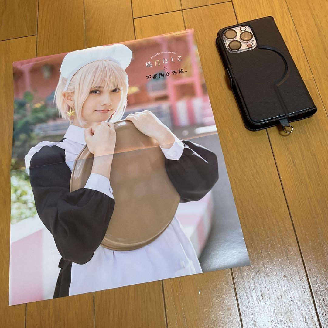 桃月なしこ　両面ポスター6点、切り抜き