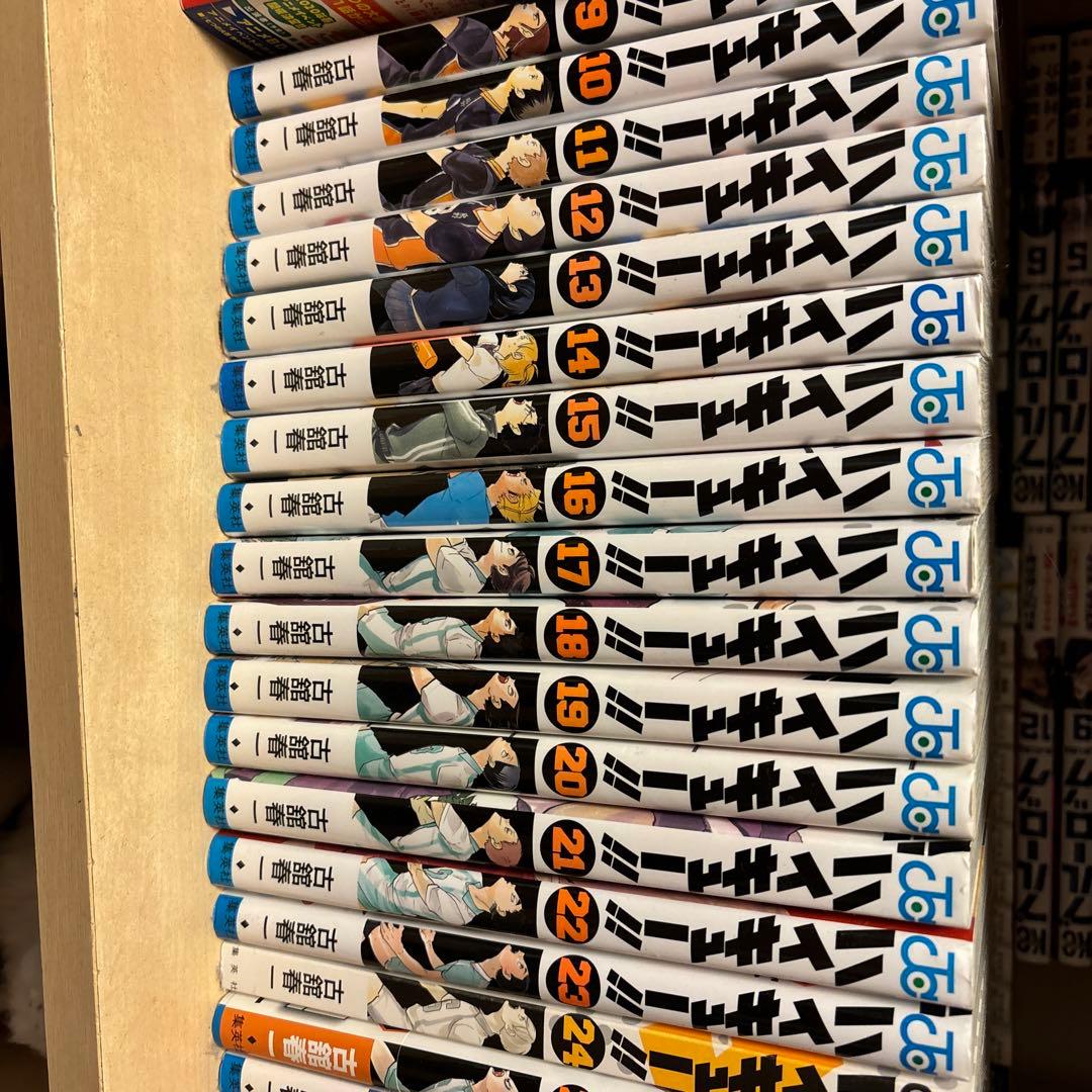 丸山敏雄全集全30冊の後半（15巻から25巻、別巻1から4）の通販