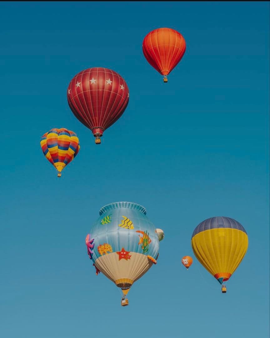 ロンパース・カバーオール mctiiiy カラフルビーンズ 総柄カバーオール（ロンパース）｜HOT BISCUITS