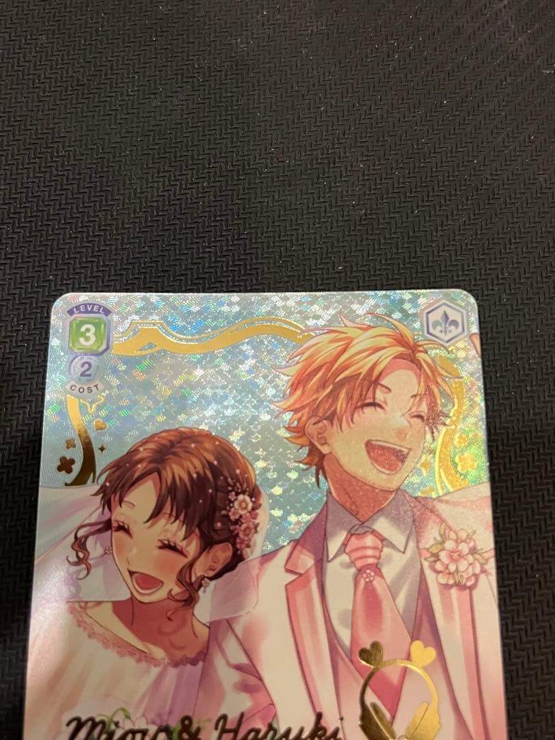 HoneyWorks ヴァイスシュヴァルツブラウ 芹沢美桜&芹沢春輝 - メルカリ