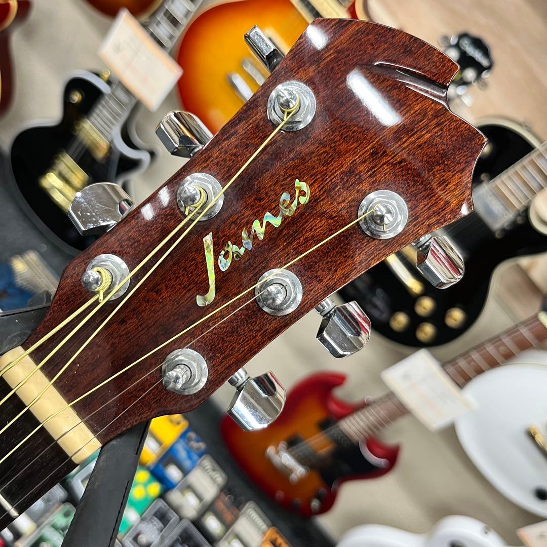エレアコ化オプション11068James JS-1VN アコースティックギター