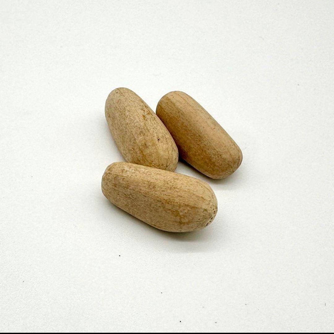 正規輸入種子1粒 エンセファラルトス ホリダス ドワーフ - メルカリ