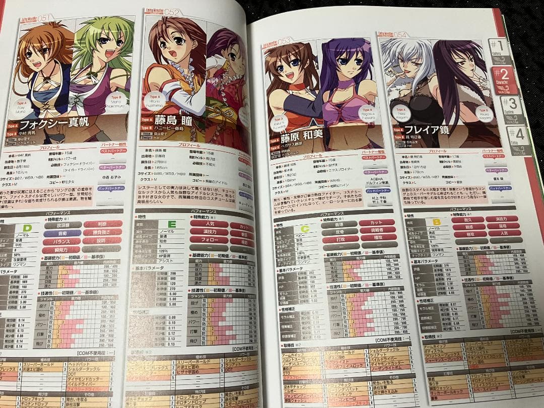 レッスルエンジェルスサバイバー2 ザコンプリートガイド - メルカリ