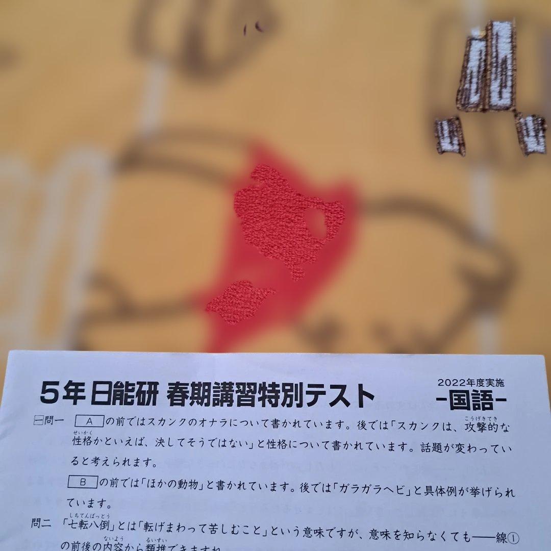 2022年 日能研 5年生 春期講習特別テスト - メルカリ