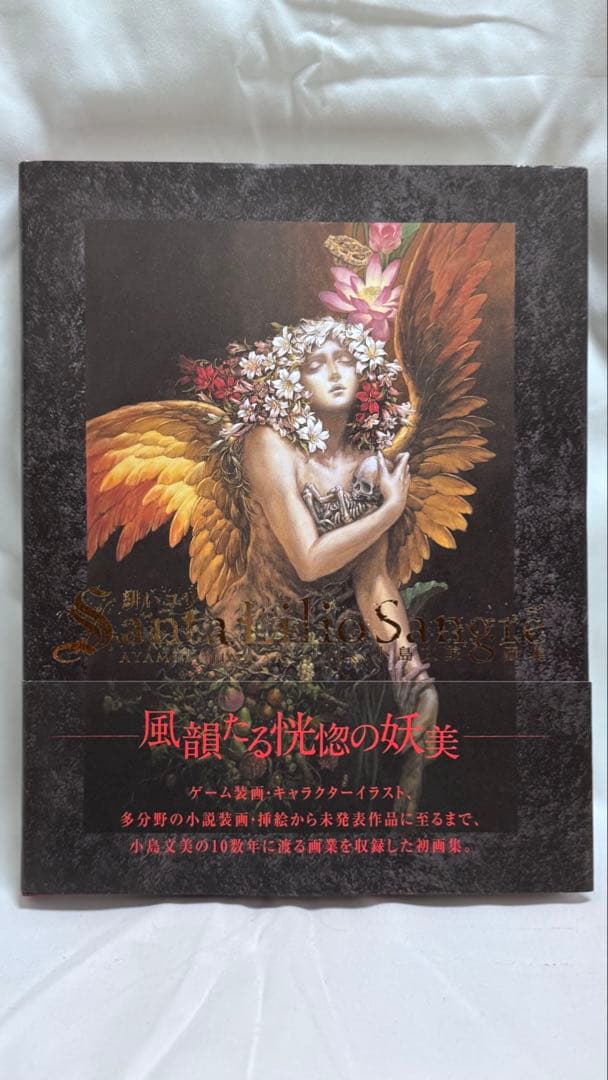 [美品] 小島文美 画集 -Santa Lilio Sangre- 緋いユリ