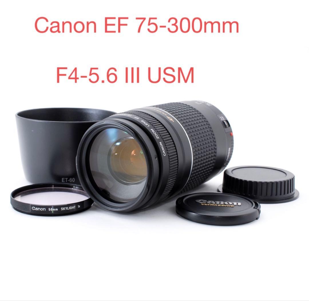 フード付/望遠レンズ/CANON EF 75-300mm F4-5.6 III Amazon.com : Canon EF 75-300mm f/4-5.6 III Telephoto Zoom Lens for
