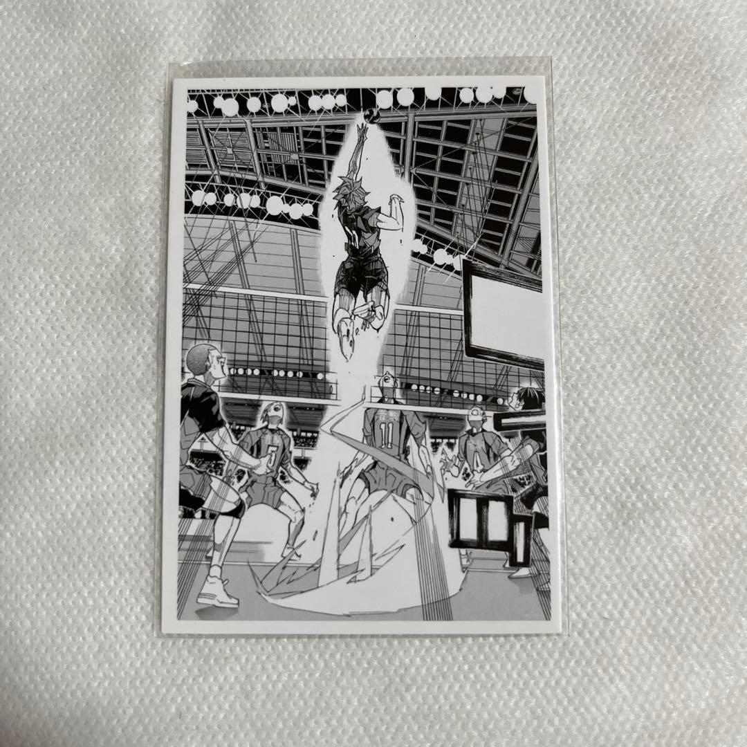 未使用】ハイキュー!! 日向翔陽 10thクロニクル フォトカード【匿名