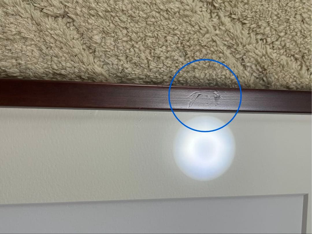 d*9様 エヴァ展限定複製原画/レイ