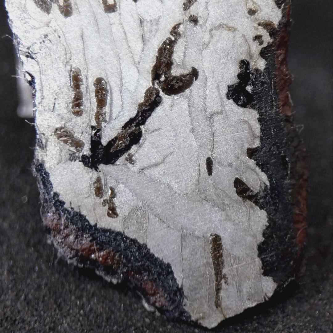 ギベオン隕石　(スライス)　8.8g