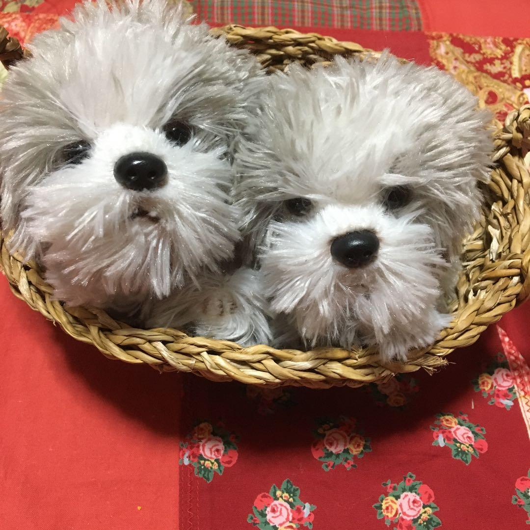 ぬいぐるみ　犬　モフモフ　子犬　クタクタ犬　シーズー　犬　わんちゃんペア 犬 ぬいぐるみ リアル 仔犬 パグ ブルドッグ ゴールデンレトリバー