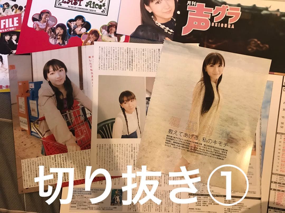 堀江由衣 Aice5 雑誌付録 シール ポスター 冊子 切り抜き 声グラ hm3
