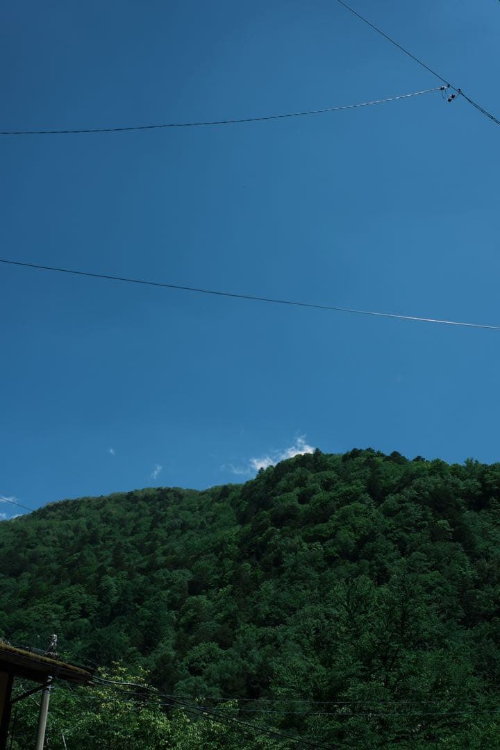 ナムル ナムル - 李朝園公式通販｜キムチ・韓国惣菜・ミールキットの販売