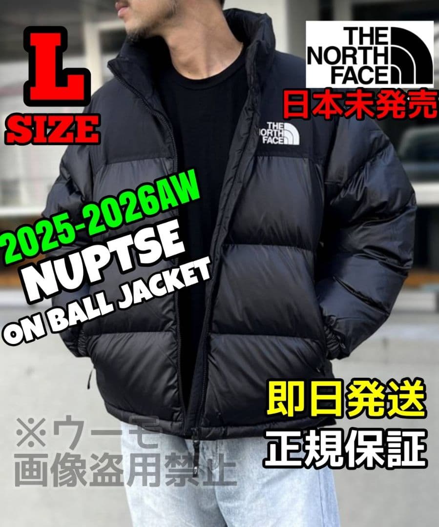 THE NORTH FACE ダウンジャケット ヌプシ NUPTSE Lサイズ THE NORTH FACE（ザ ノースフェイス） ヌプシ ジャケット NUPTSE
