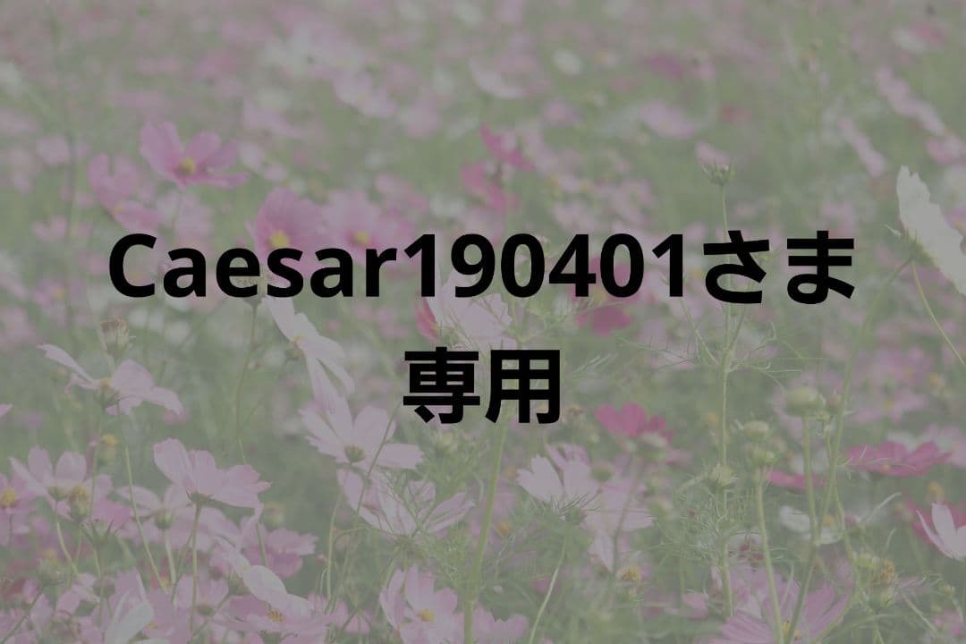 Caesar190401さま専用 MADE in USA 993｜ニューバランス公式通販 | - New Balance