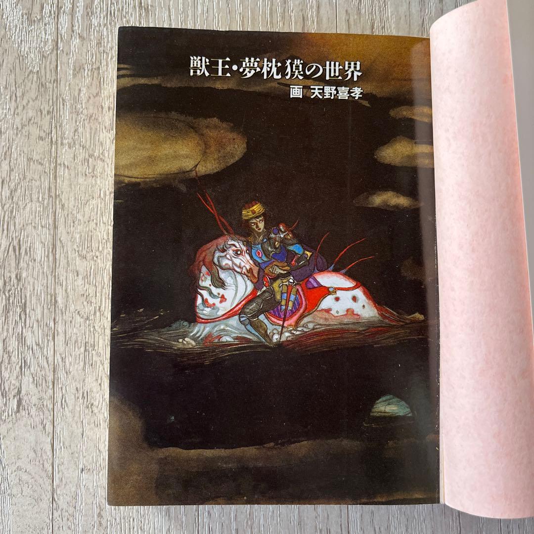 夢枕 獏 獣王伝 夢枕獏ワールド 本 小説 物語 絵 挿し絵 天野喜孝