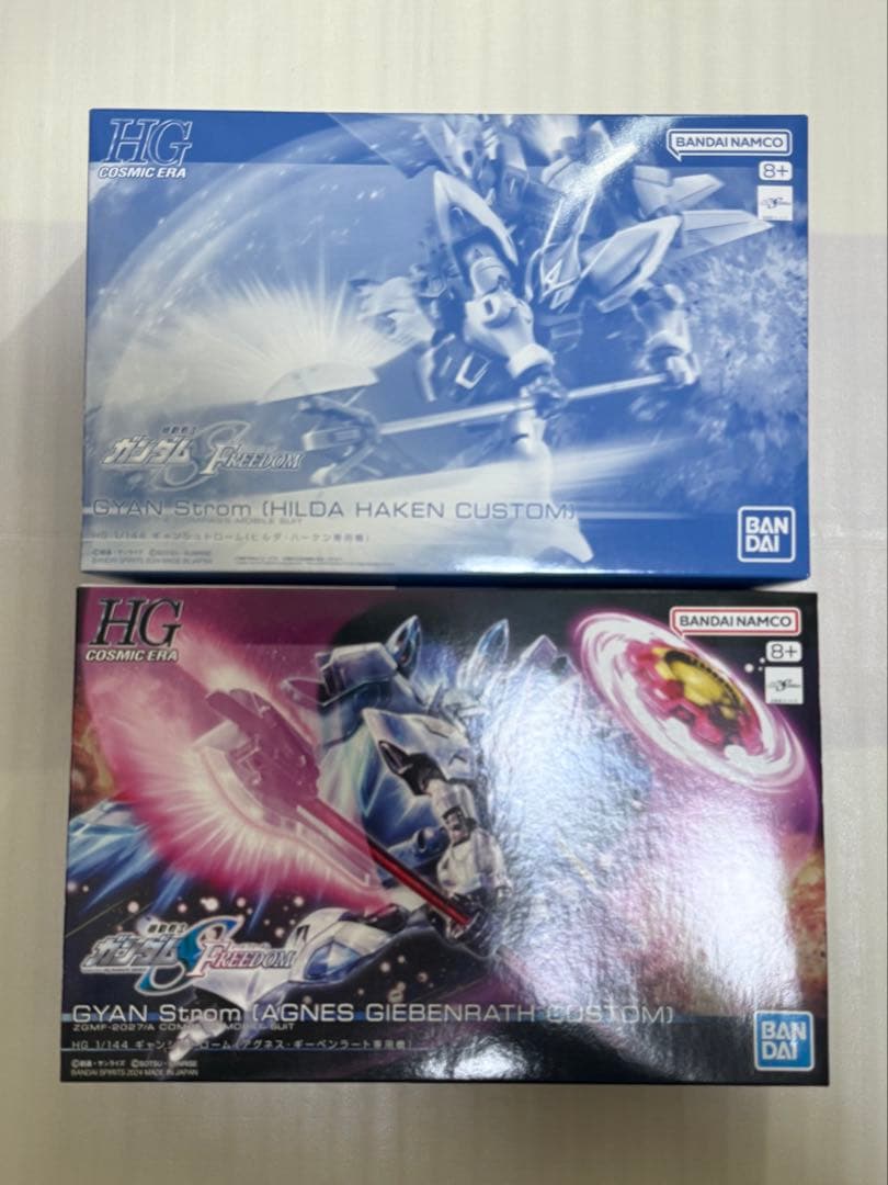 ガンプラ HG ギャンシュトローム アグネス機 ヒルダ機 2種類セット