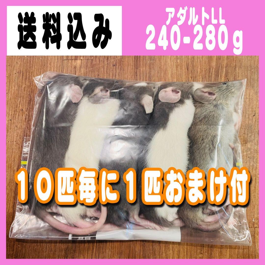 冷凍ヤワゲ【Aka658様専用】