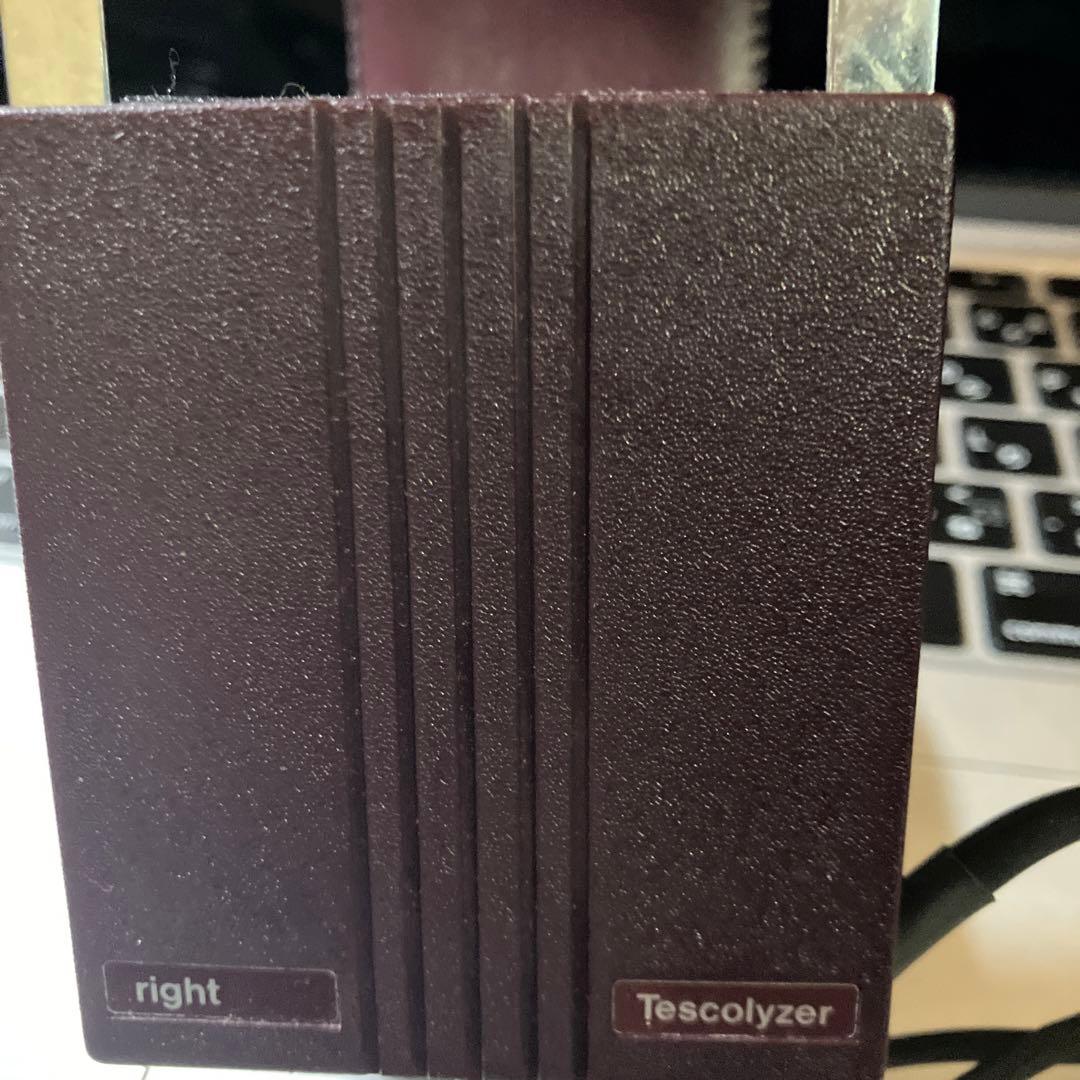 Tescolyzer Stereo Headphones テスコライザー - メルカリ