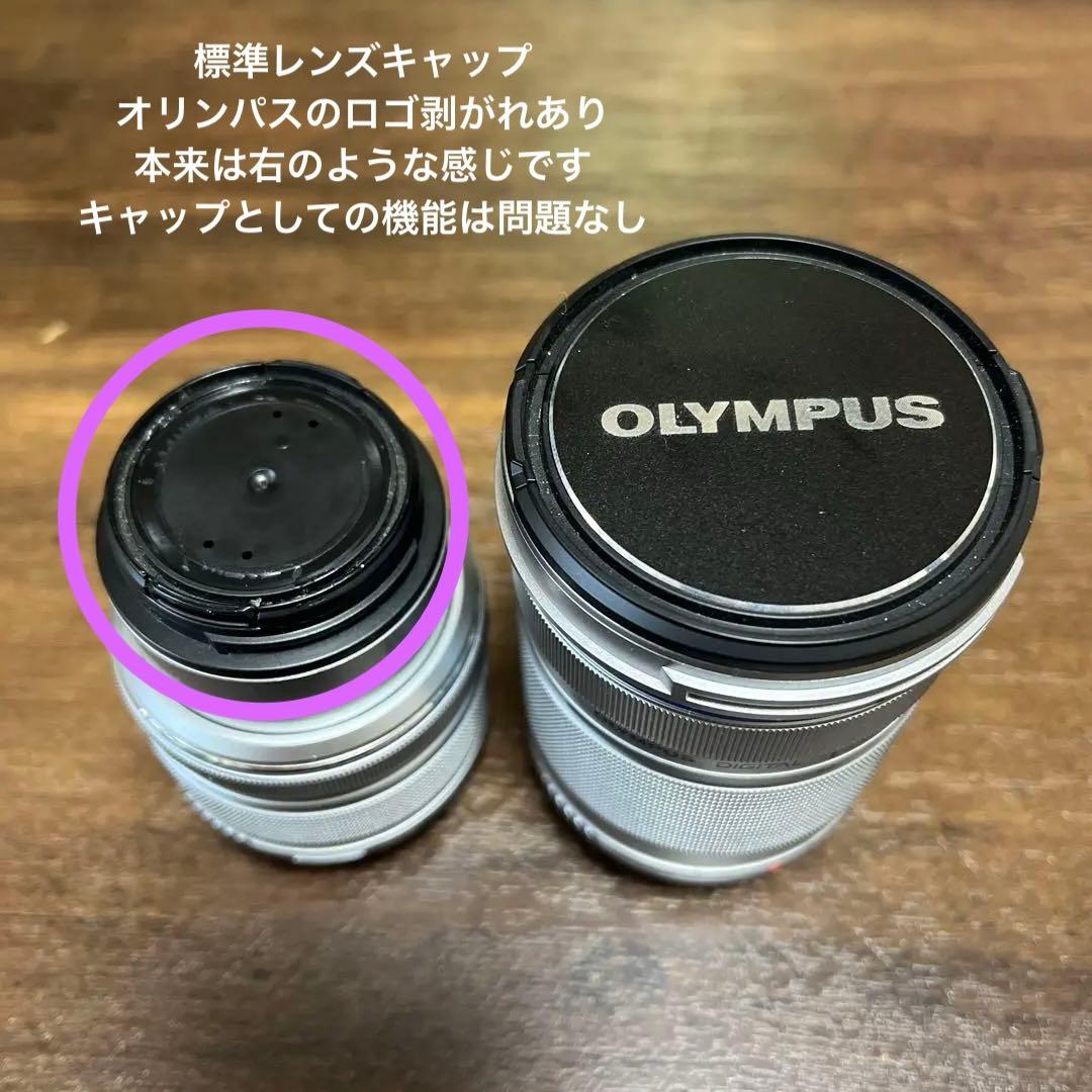 3123 OLYMPUS PEN Lite E-PL5 ダブルズームキット