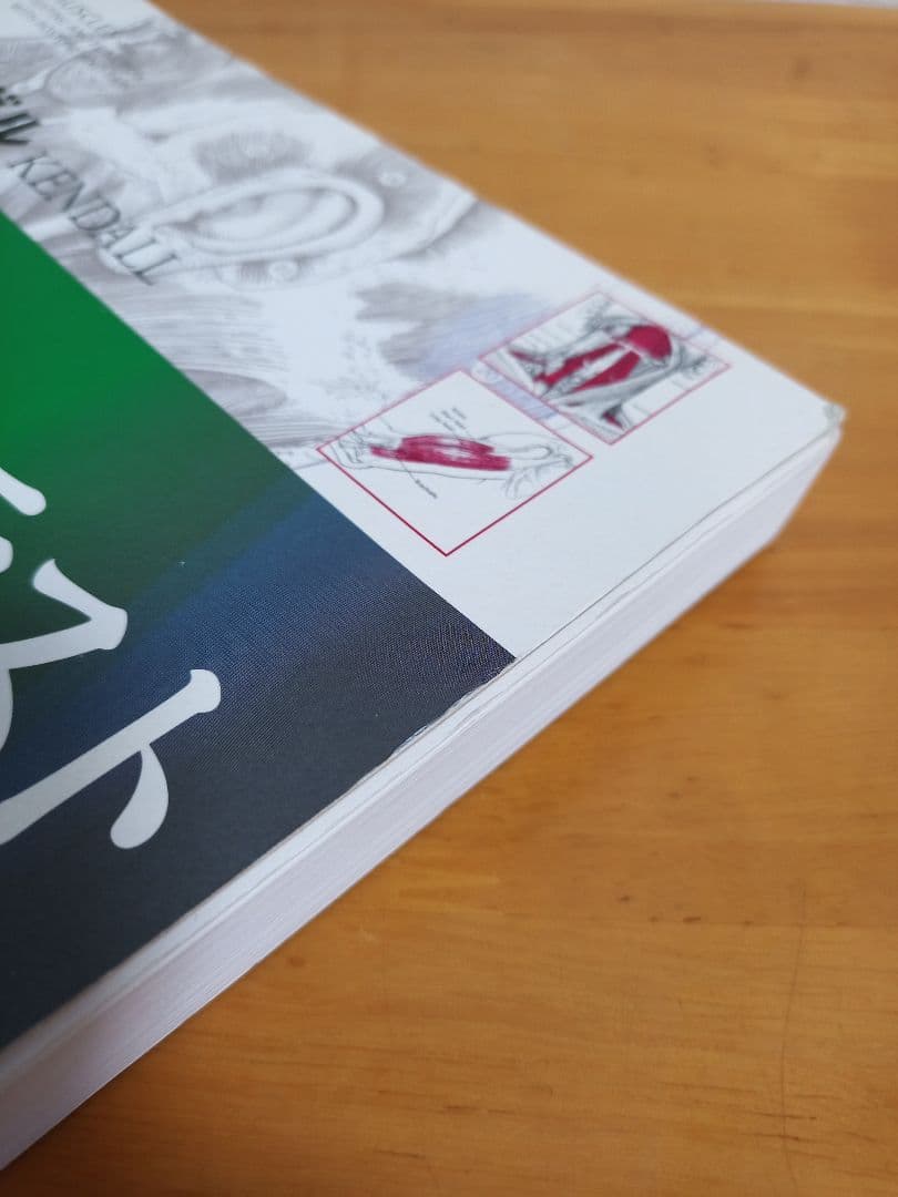 ケンダル 筋・機能とテスト -姿勢と痛み-