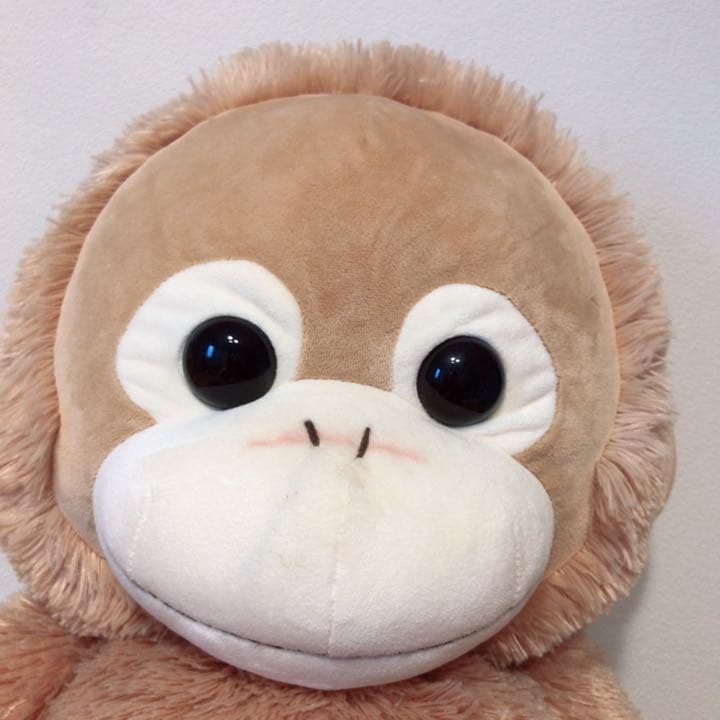 Baby CoCo ぬいぐるみ ベイビーココ 親子セット - メルカリ