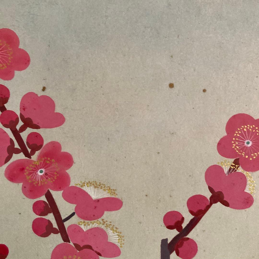 金島桂華「梅」38.4×45cm 2重箱 箱書き 紙本採色 豪華