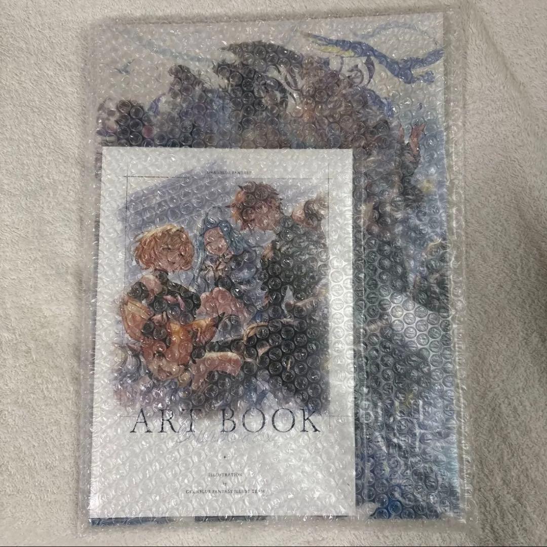 グラフェス パンフレット 2025 未使用 - メルカリ