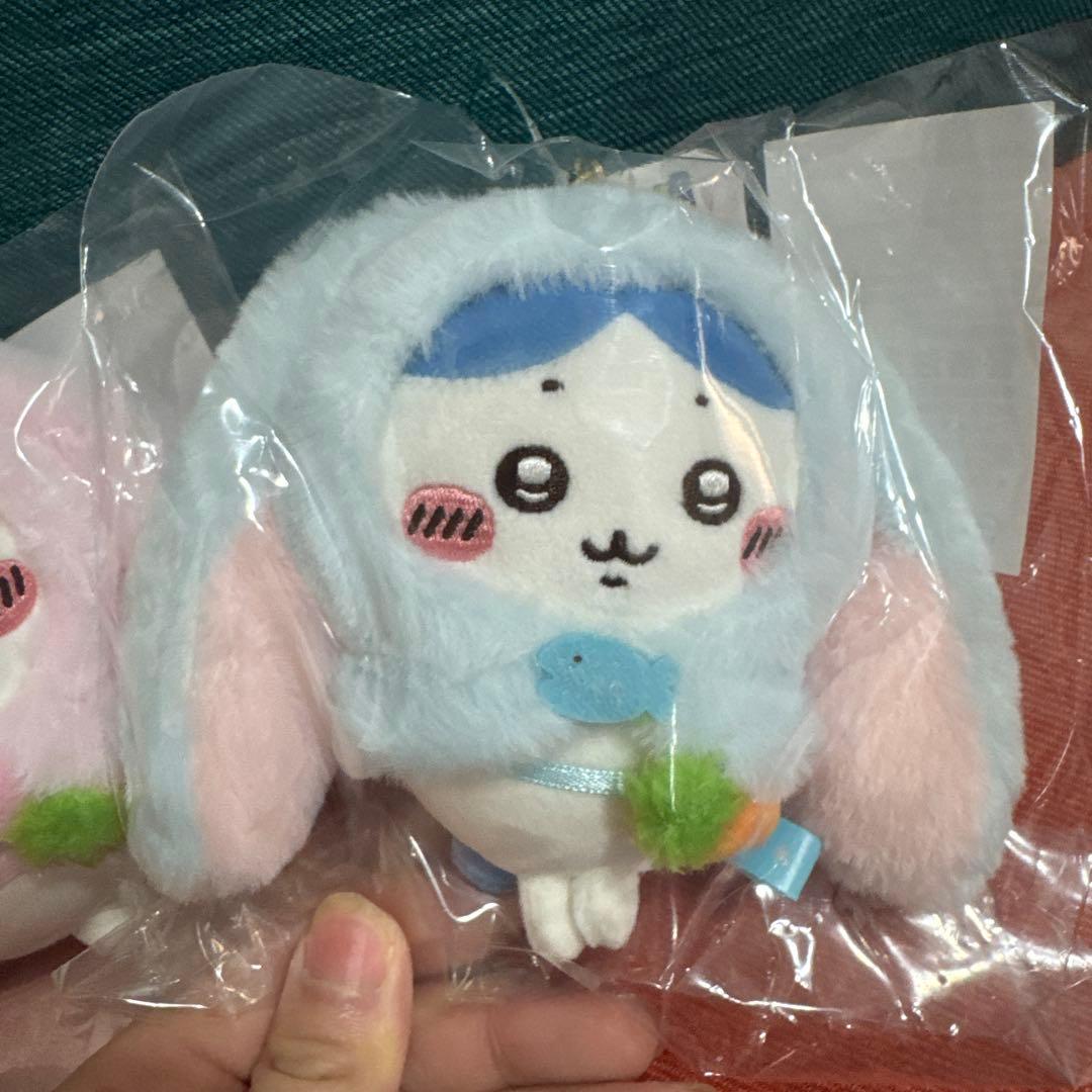 ちいかわ 台湾台北店限定 ロップイヤーなマスコット ハチワレ ちいかわ