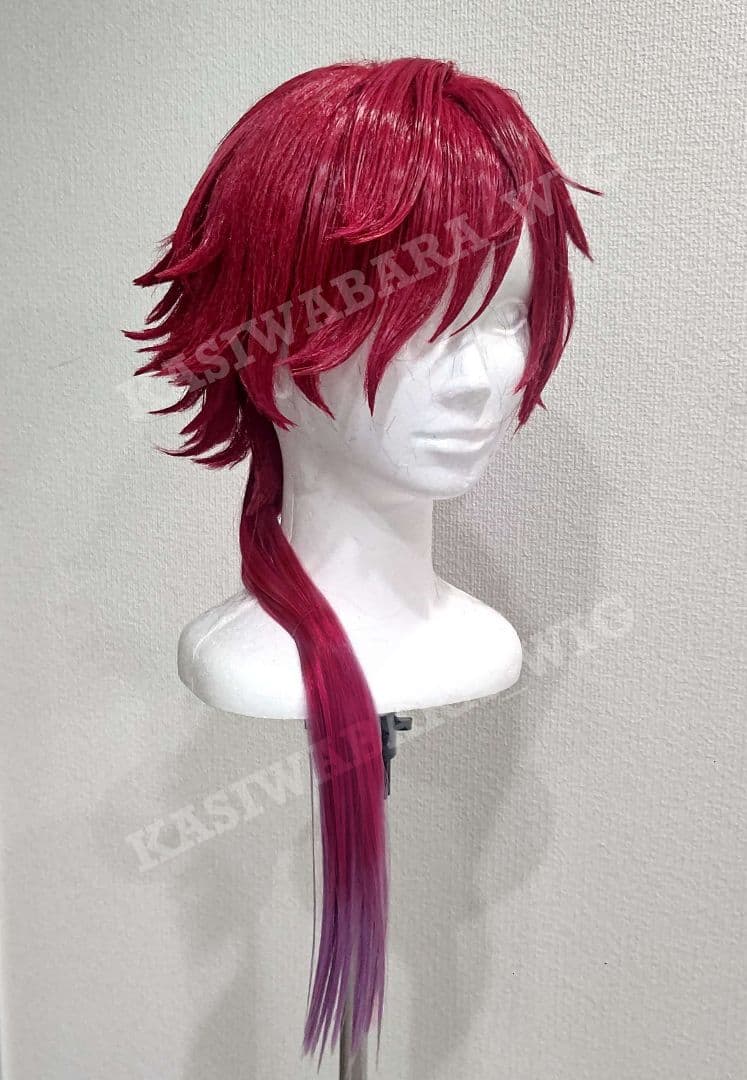 にじさんじ ローレン・イロアス コスプレ衣装 ウィッグ - メルカリ