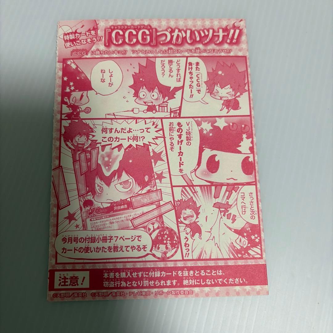 家庭教師ヒットマンREBORNリボーンCCG 怪物づかいツナ 沢田綱吉 天野明