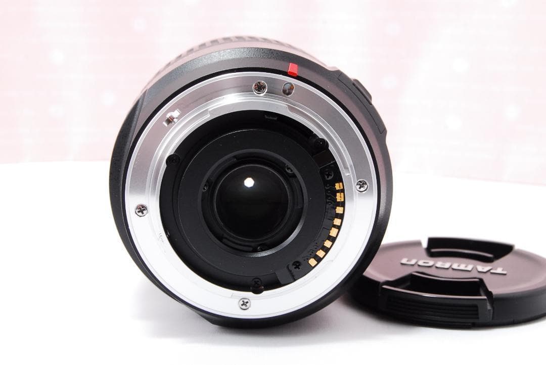 〓ソニー用〓タムロン 18-270mm F3.5-6.3 Di II PZD