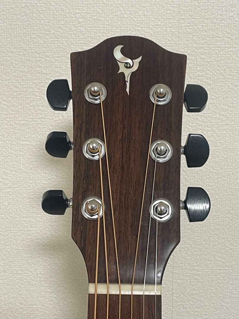 エレアコギター DCT GR742CE