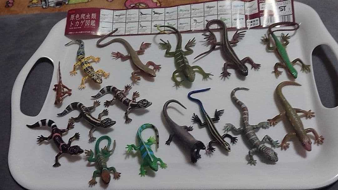 爬虫類用品セット UVランプ・エサ・温度計