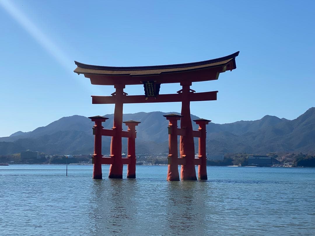 HIKE★10/31 〜11/1発送不可 Men's Keen Zionic Nxt Mid Wp | Schuler Shoes