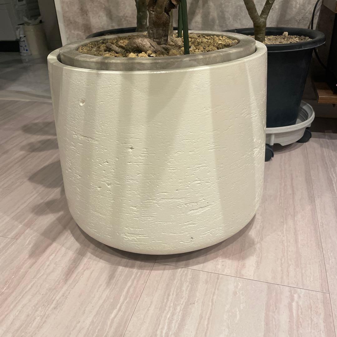 最終値下げ】植物鉢 プランター 大型 - メルカリ