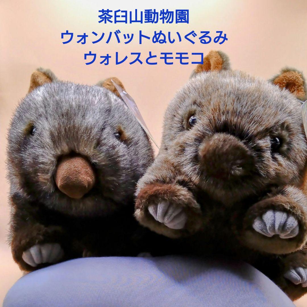 ウォンバットぬいぐるみセット 茶臼山動物園 - メルカリ