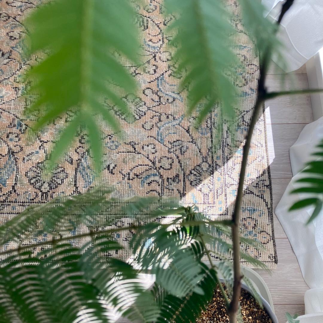 囲みコーラルベージュ✳︎111×211 フローラル ブルー トルコ