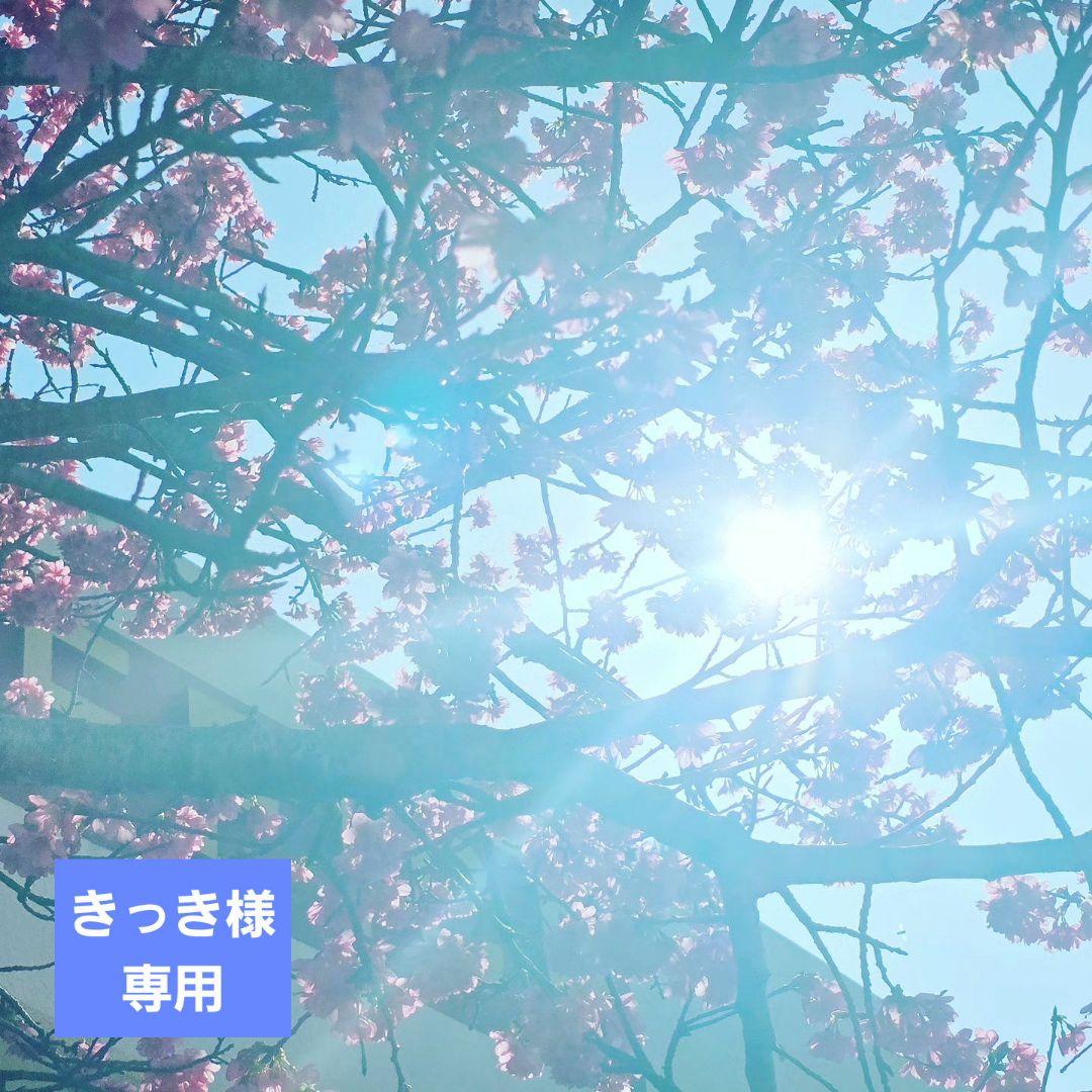 【新品未使用】コタアイケア シャンプー&トリートメント ⑨ 750 COTA（コタ） アイ ケア シャンプー 7 800ml / トリートメント7 800g