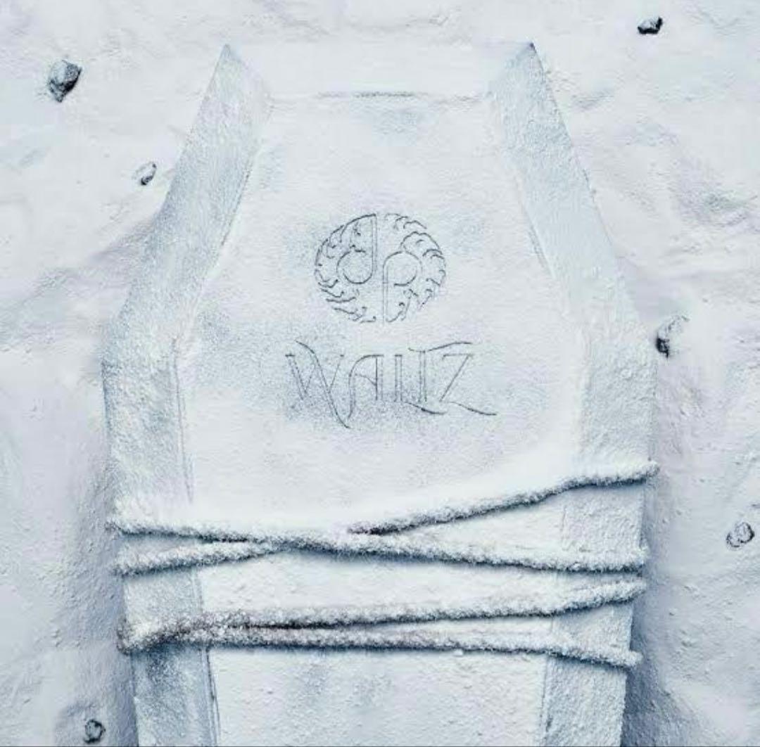 龍宮城 / WALTZ (完全生産限定盤/白盤) 未開封 WALTZ【FC限定盤(完全生産限定盤)】・龍宮城 | Sony Music Shop・CD